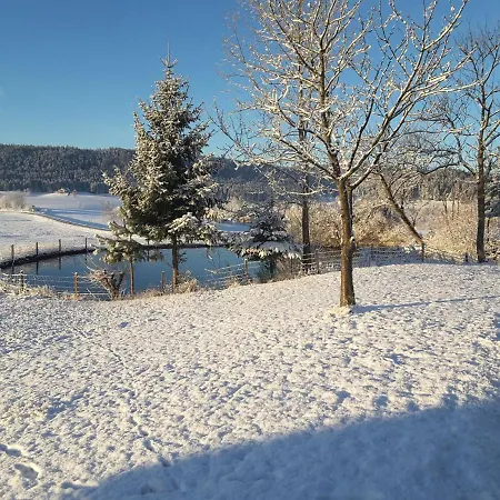 Kienbronnerhof Daire *