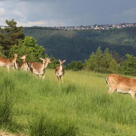 Daire Kienbronnerhof